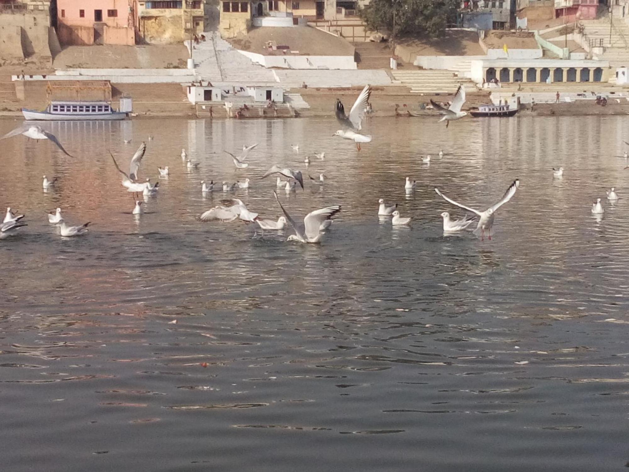 Tandon Lodge On The Ganga Ghat Homestay Varanasi Bagian luar foto